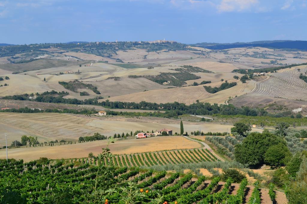 Вилла Agriturismo La Disperata Сан-Куйрико-д'Орча Номер фото